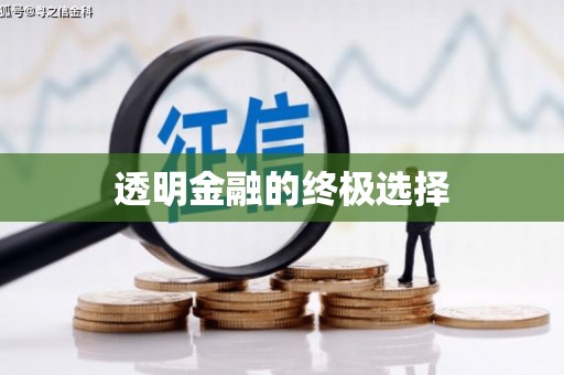 利州透明金融的终极选择